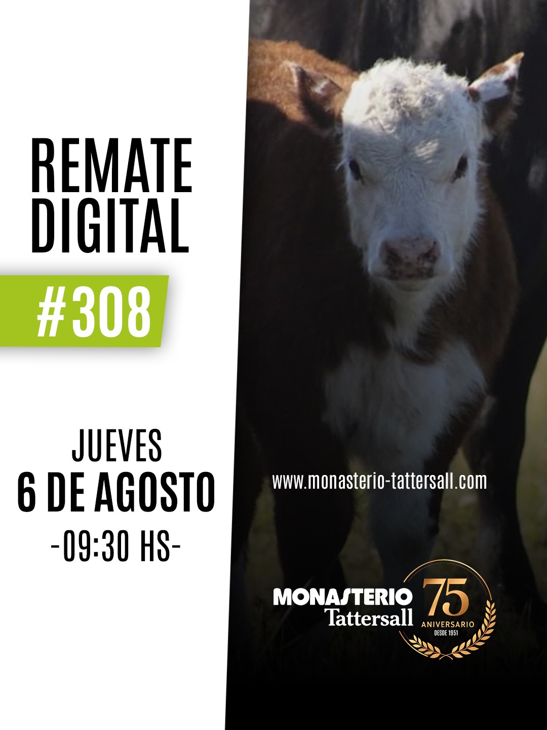 Remate Remate digital 308°