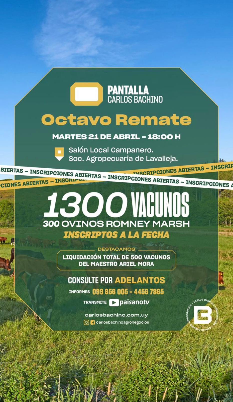 Afiche 8° Pantalla Bachino