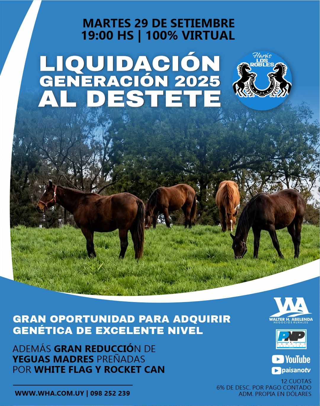 Haras Los Robles
