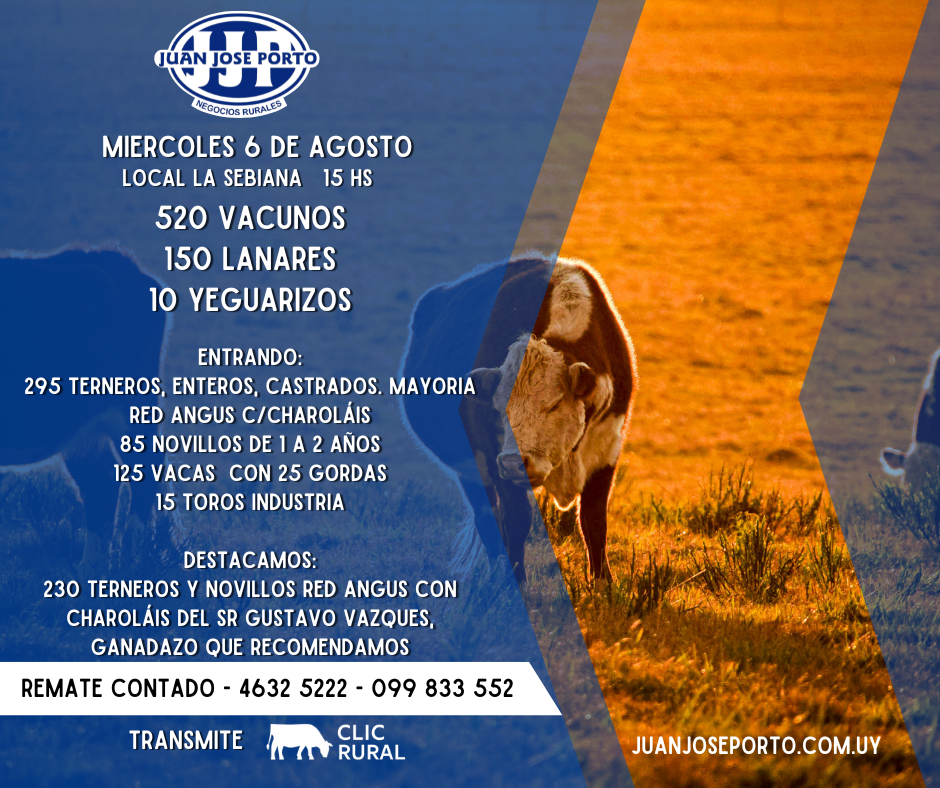 Afiche Feria Mensual - Juan Jose Porto