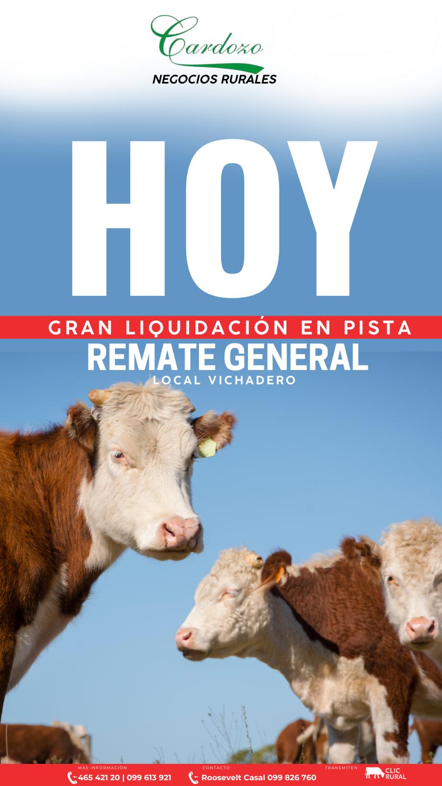 Remate Remate General