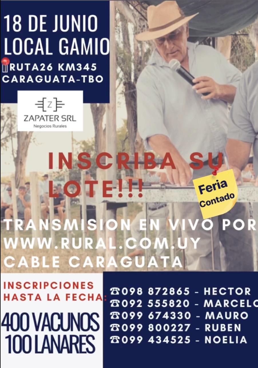 Afiche
