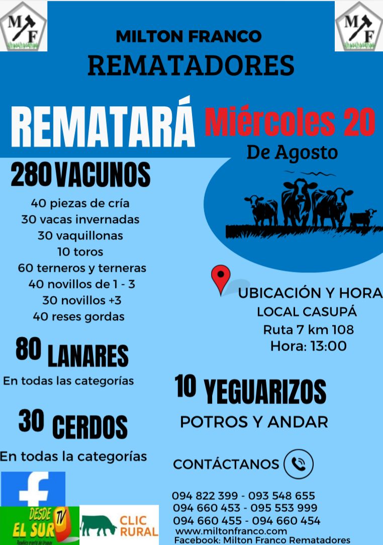 Afiche Feria Mensual - Milton Franco