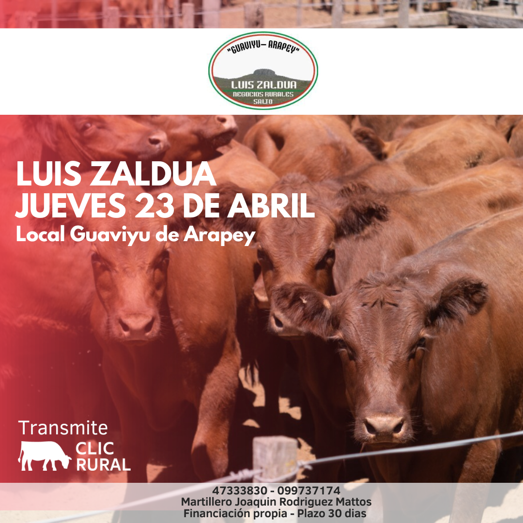 Remate Feria Mensual - Guaviyu de Arapey