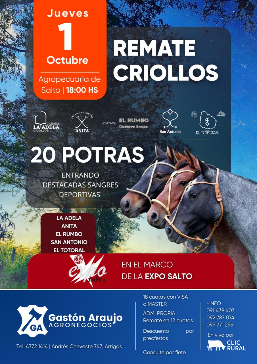 Afiche Remate Criollos