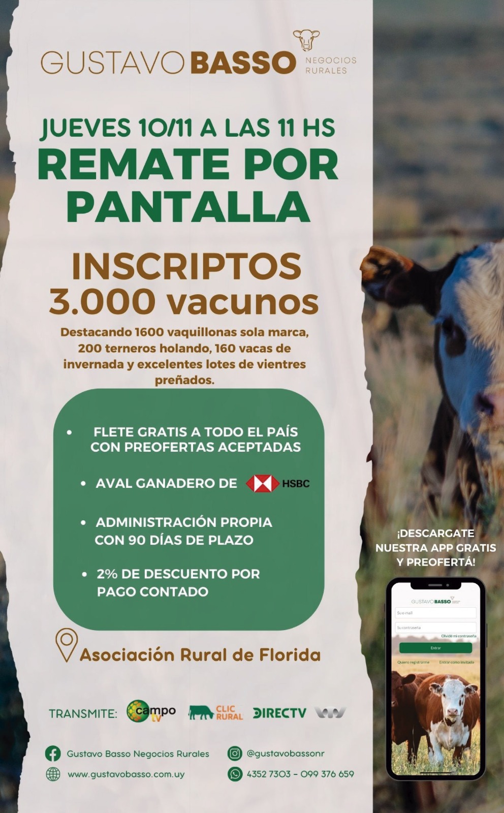 Afiche Pantalla Basso