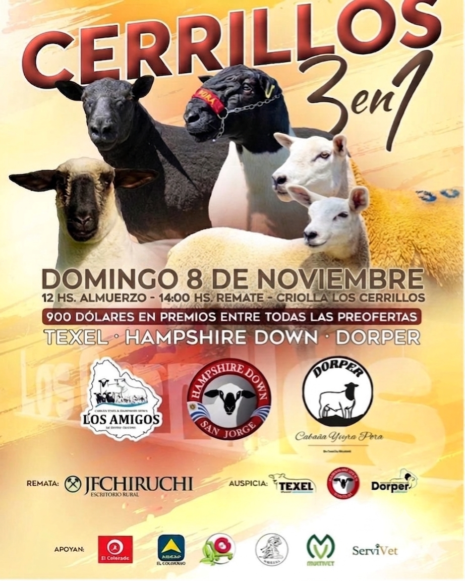 Afiche 2° Remate - Cerrillos 3 en 1