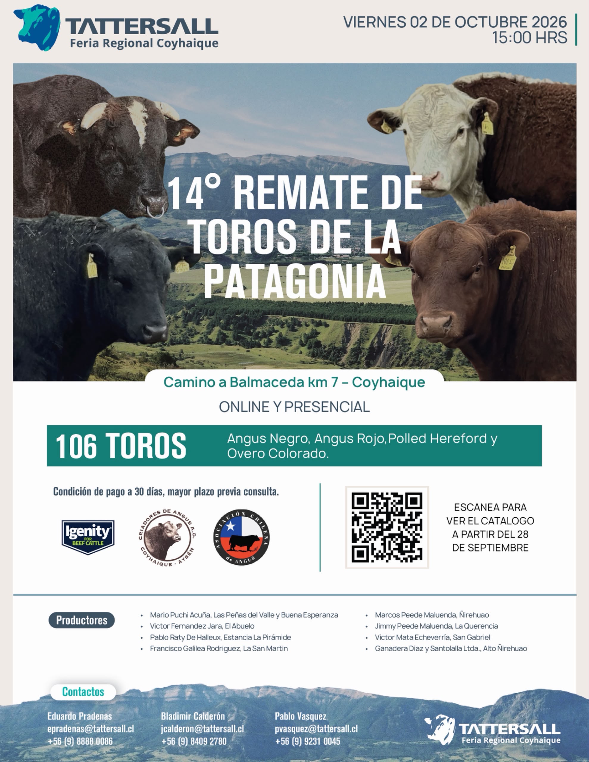 14° Remate de Toros de la Patagonía