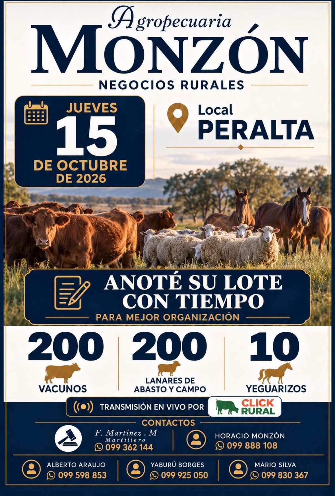 Afiche Feria mensual - Local Peralta