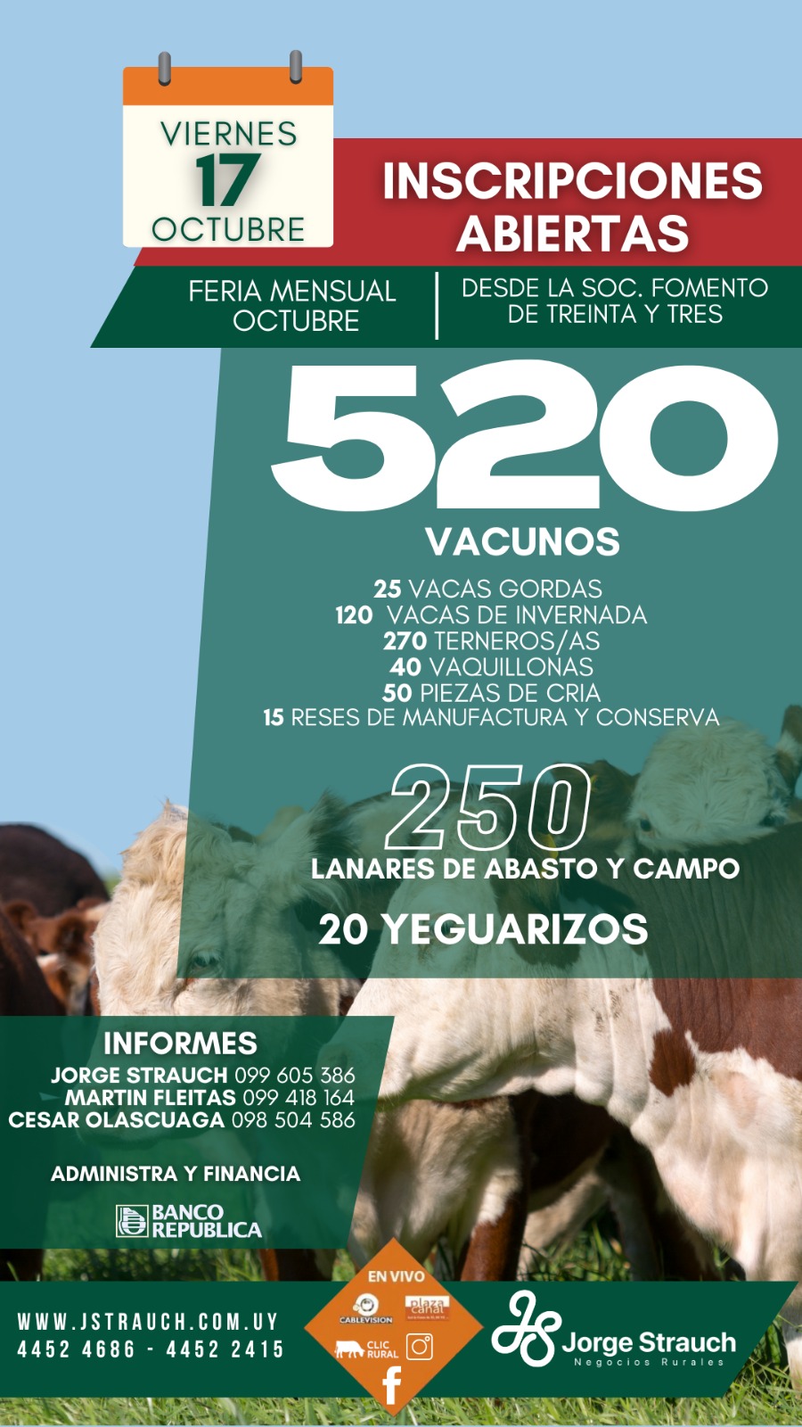 Afiche Feria Mensual - Jorge Strauch