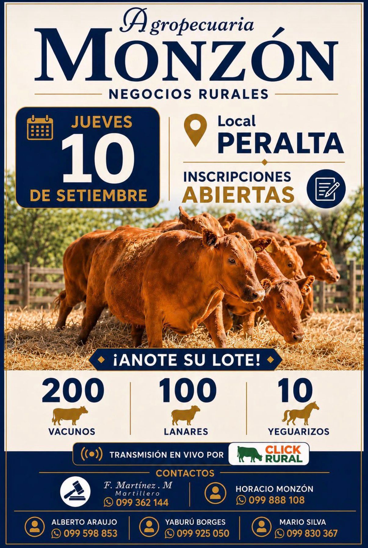 Afiche Feria mensual - Local Peralta