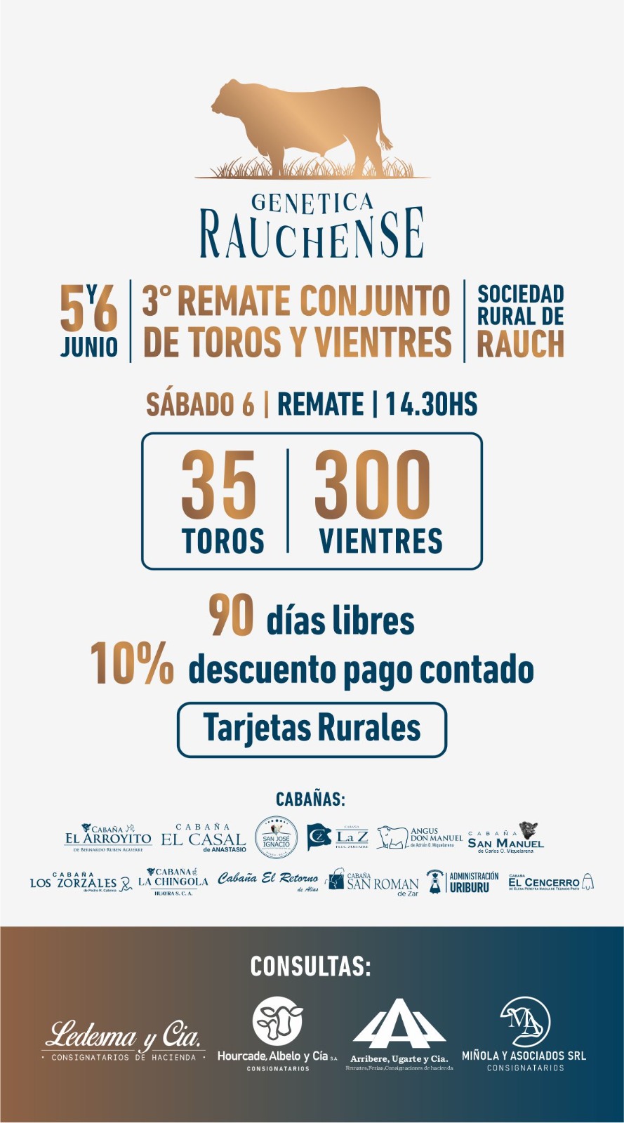 Remate en conjunto de toros y vientres