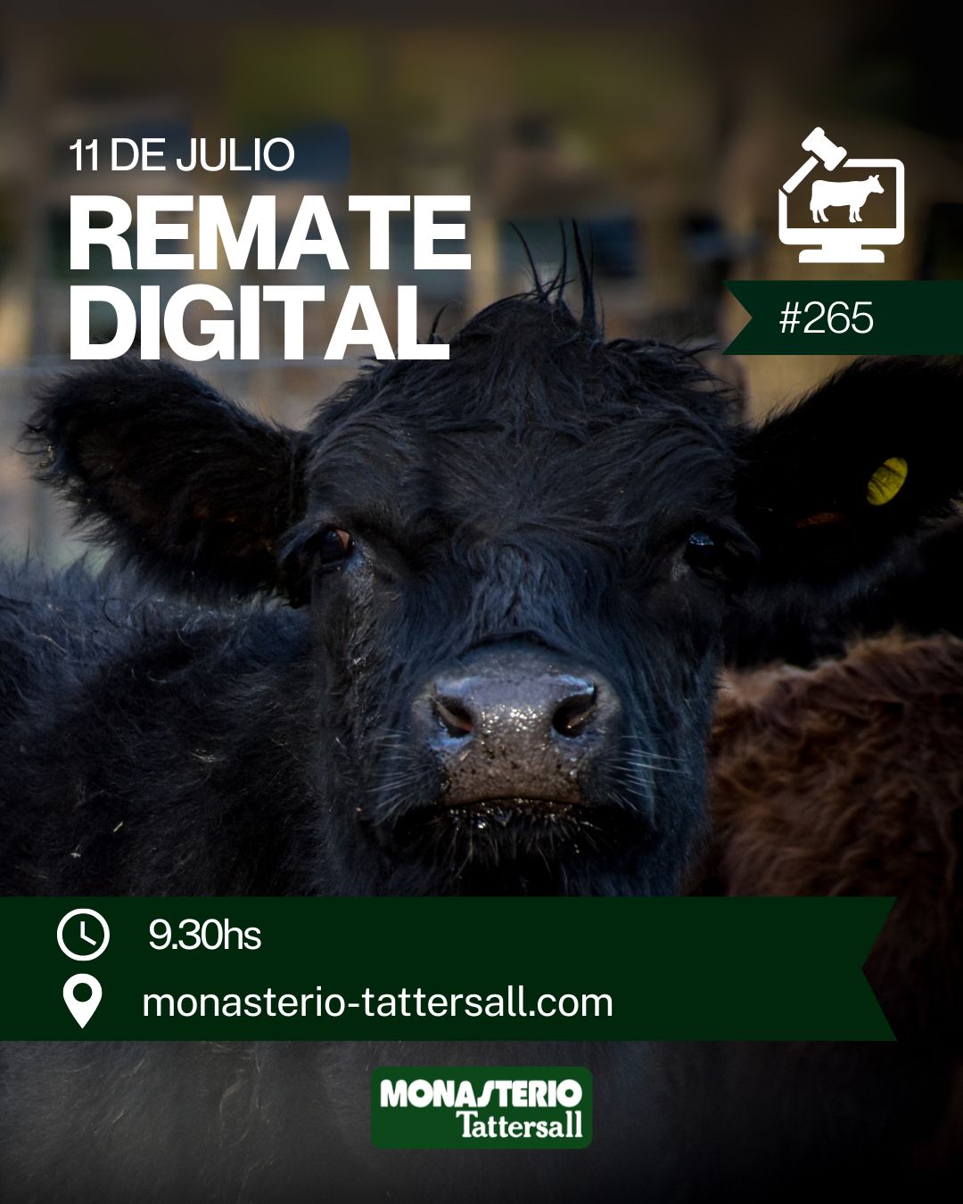 Remate 265° Remate por internet