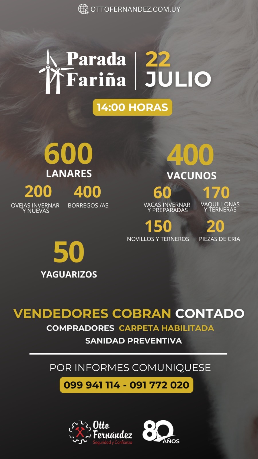 Afiche Feria Mensual - Parada Fariña
