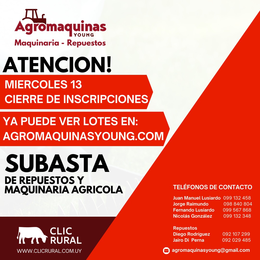Remate Subasta Virtual - Agromaquinas Young