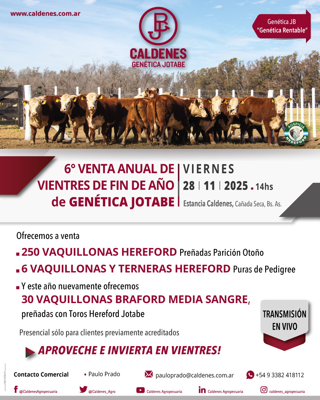 Remate 6º Venta Anual de Vientres de Fin de Año de Genética Jotabe