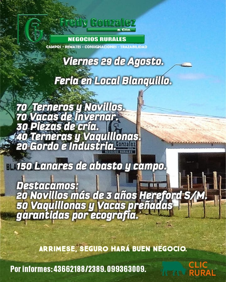 Afiche Feria Mensual - Fredy Gonzalez