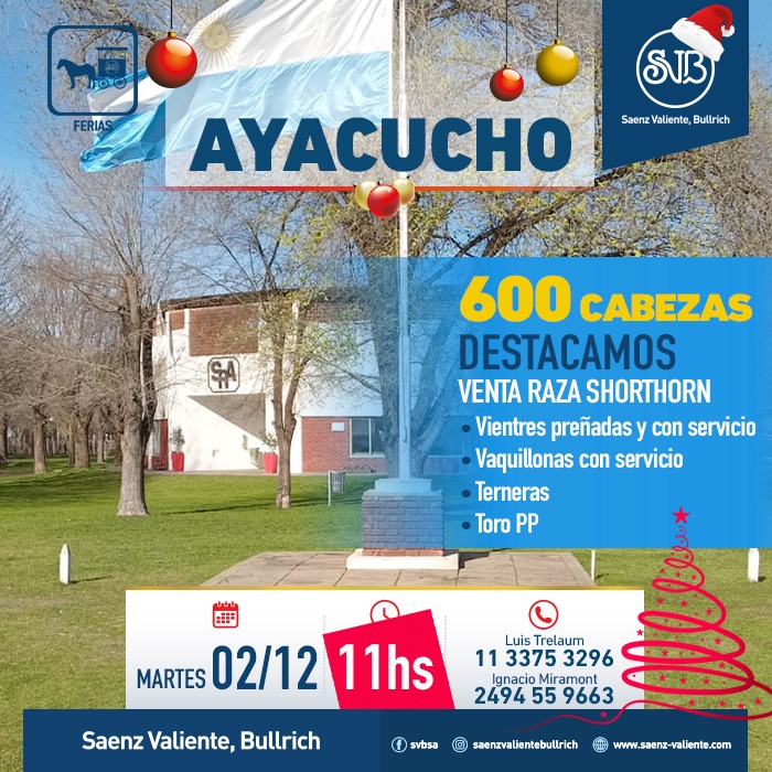 Feria en Ayacucho