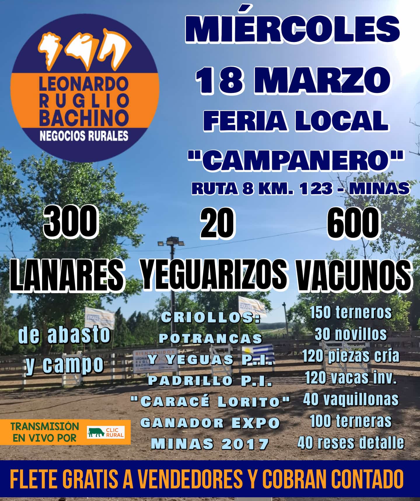 Feria mensual - Leonardo Ruglio Bachino