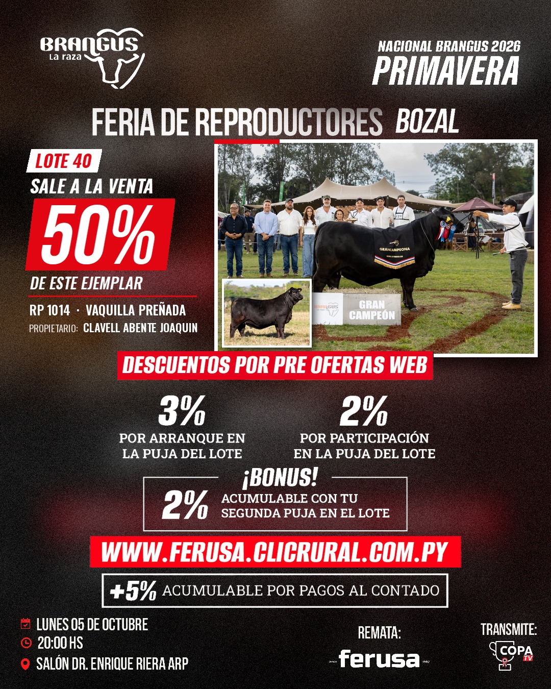 Remate Nacional Primavera Brangus Bozal