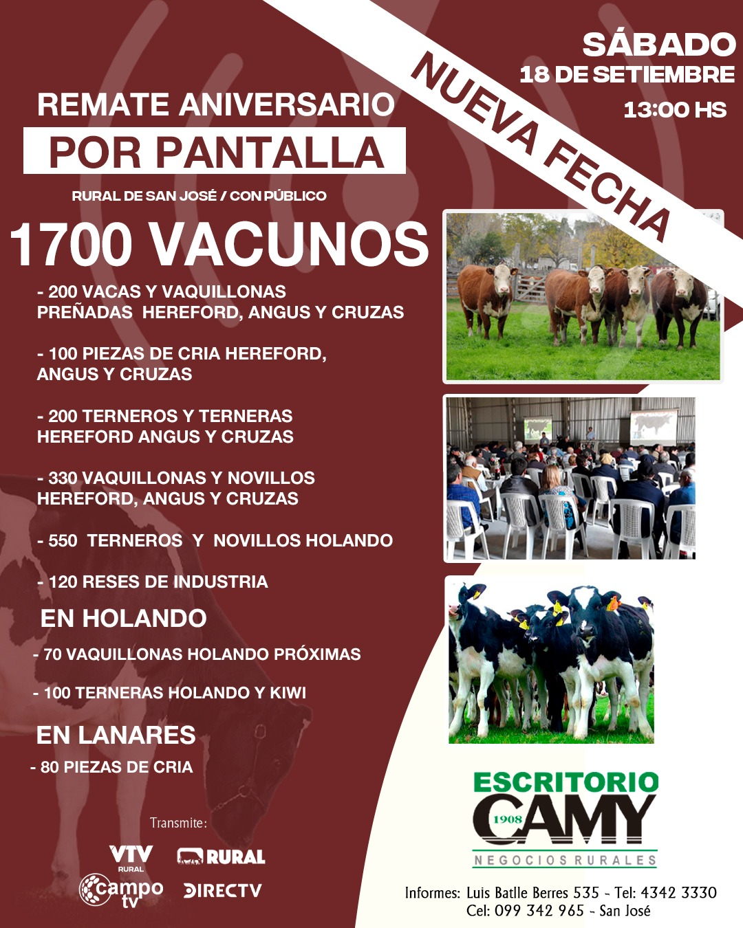 Afiche Pantalla Aniversario