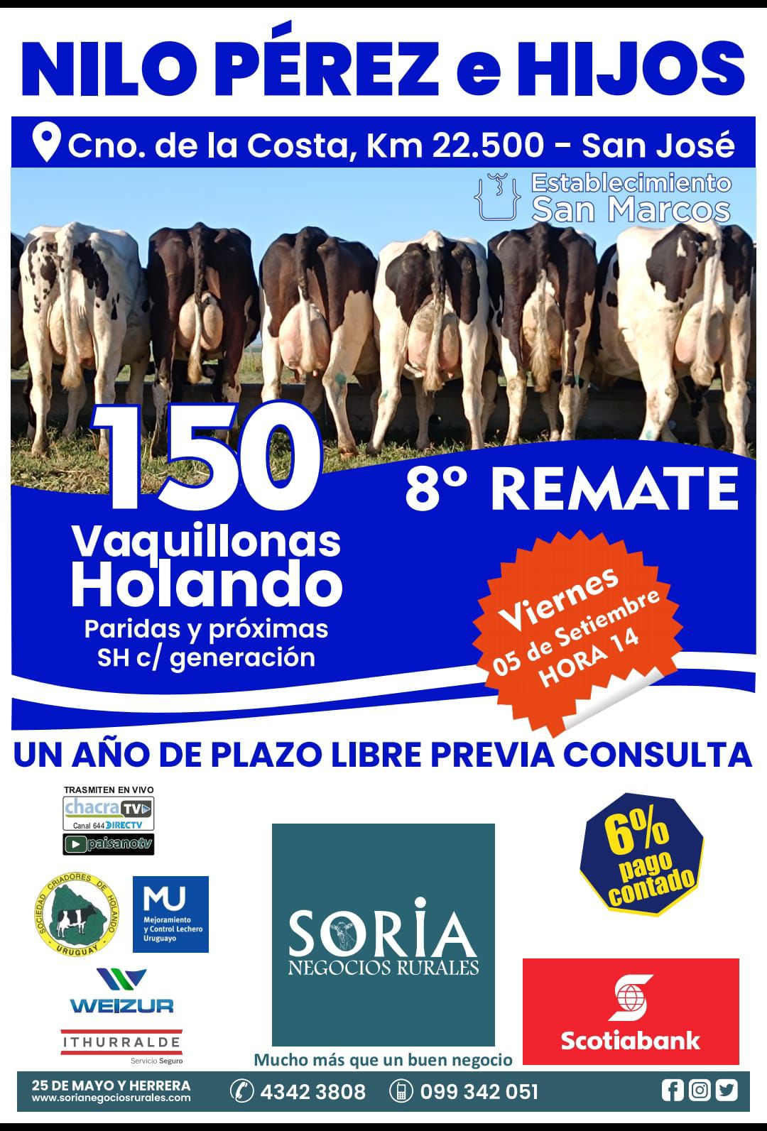 8º Remate Nilo Perez e hijos