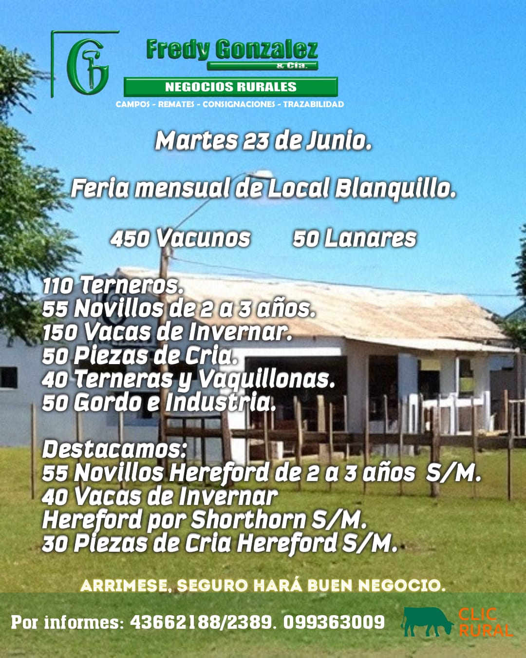 Remate Feria mensual - Local Blanquillo