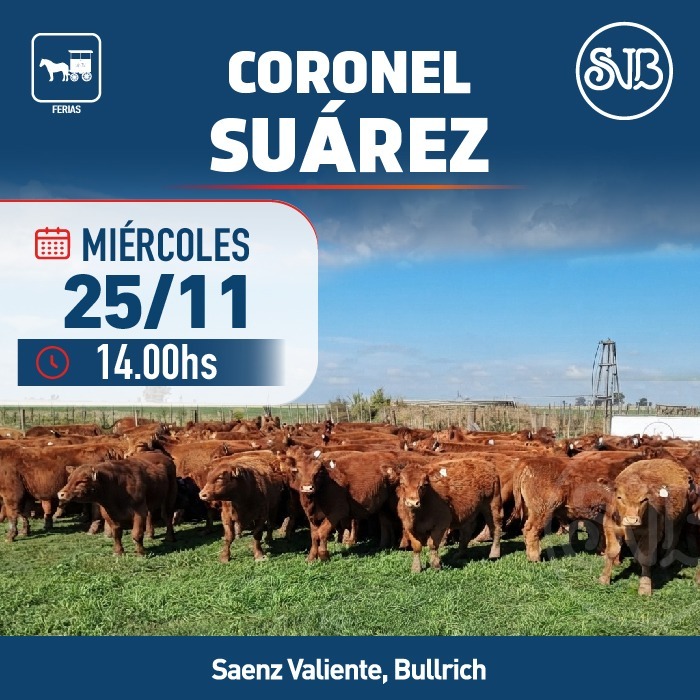 Afiche Feria en Cnel. Suárez