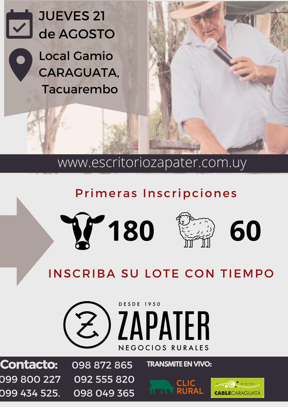 Remate Feria Mensual - Local Gamio