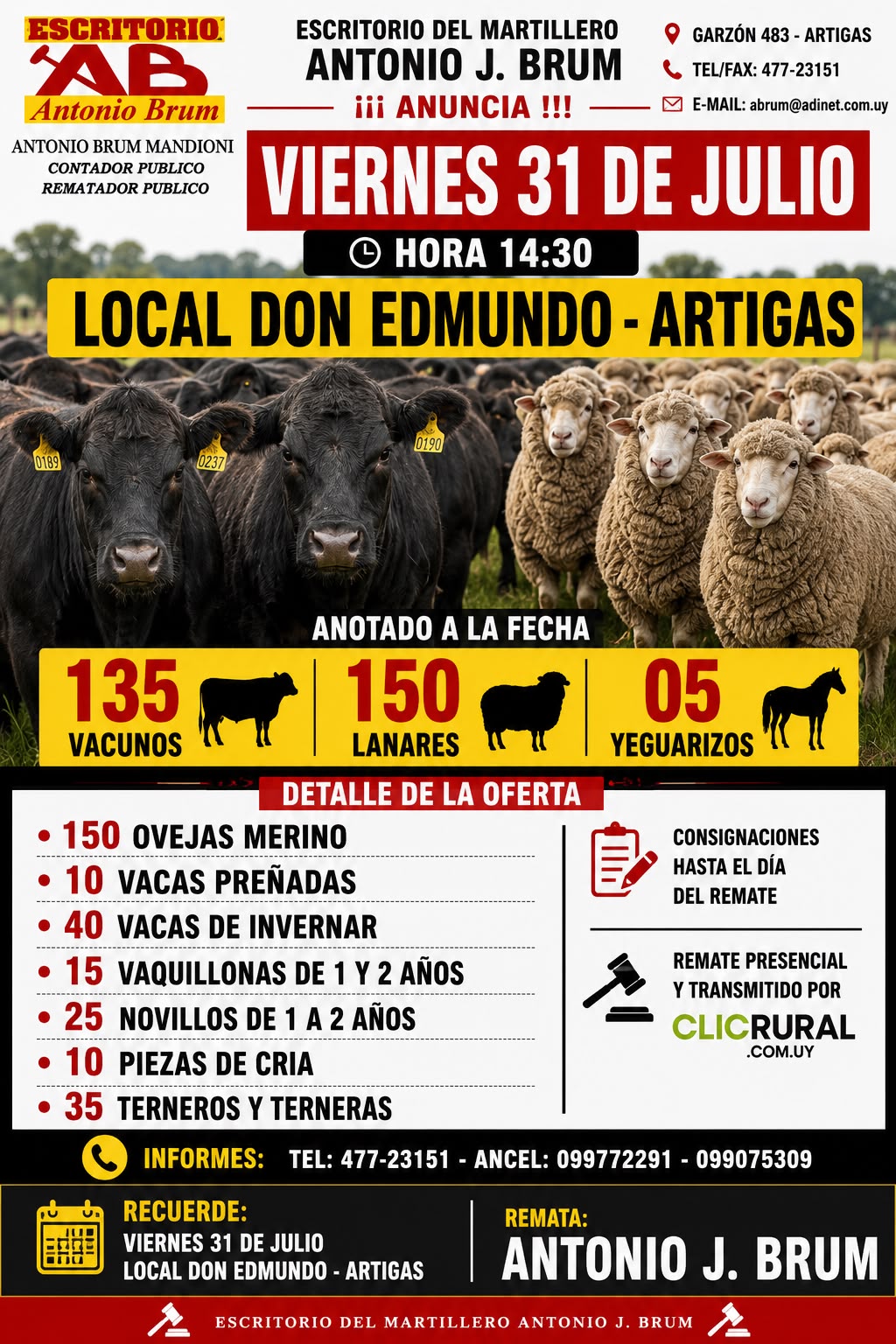 Afiche Feria mensual - Antonio J Brum