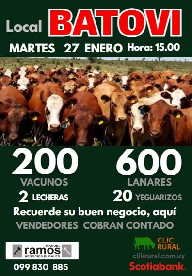 Remate Feria Mensual - Manuel Ramos