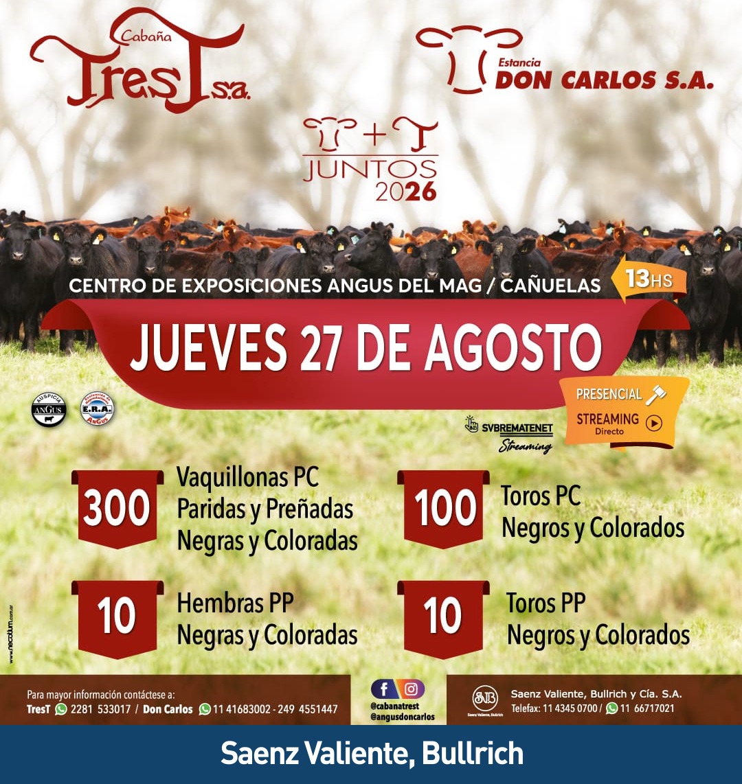Afiche Tres T y Don Carlos