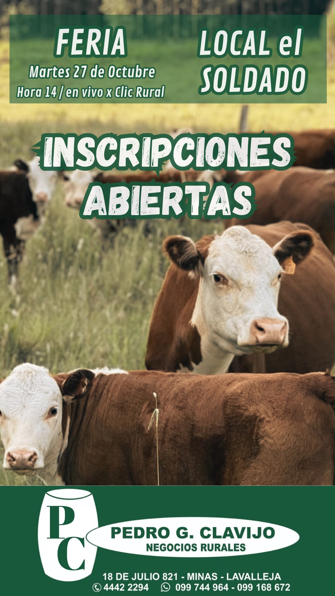 Afiche Feria mensual - Local El Soldado