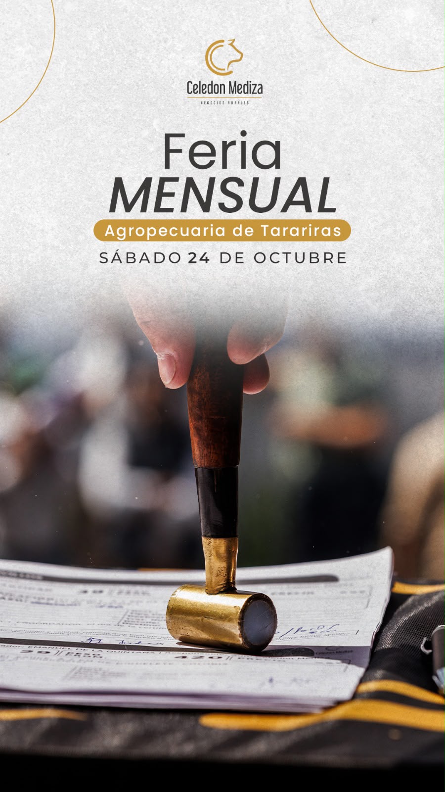 Afiche Feria mensual - Celedon Mediza