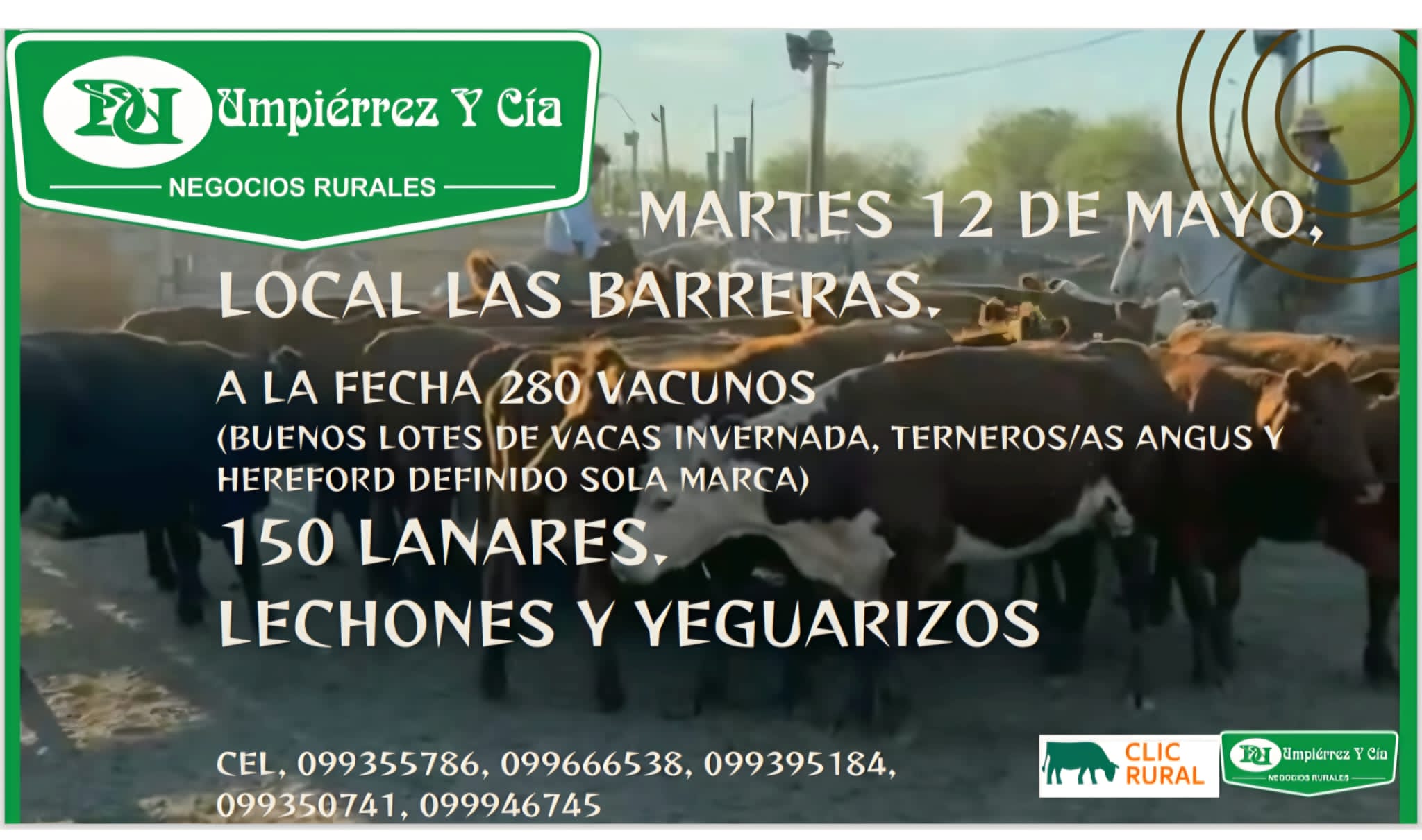 Feria mensual - Local Las Barreras