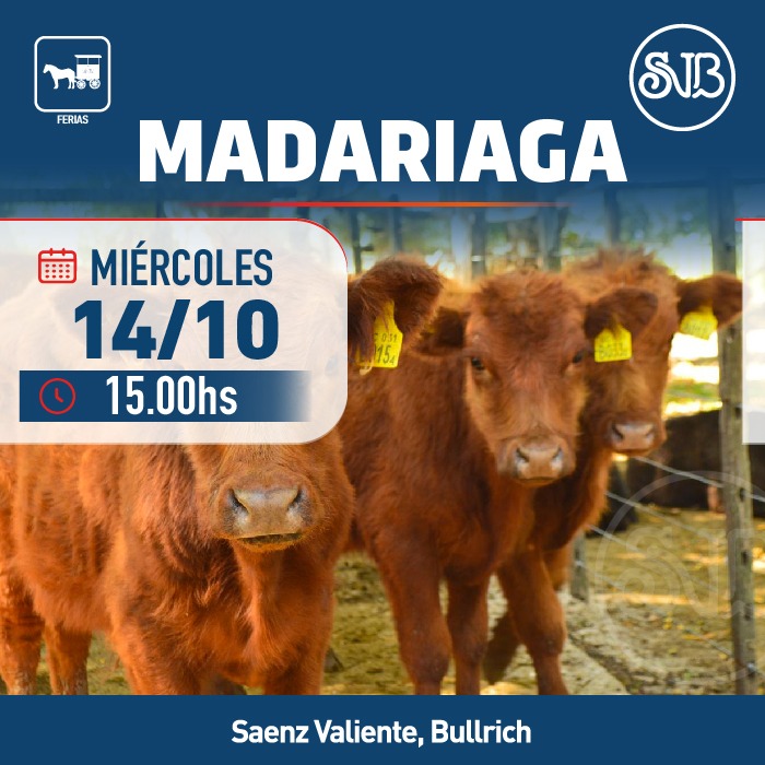 Remate Feria en Gral. Madariaga