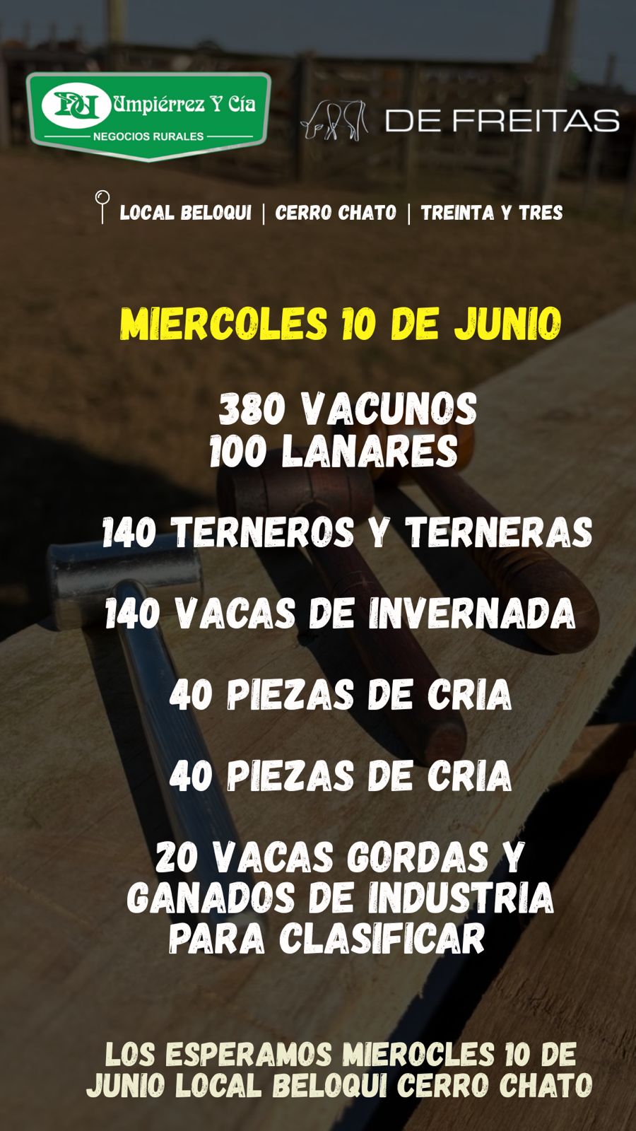 Afiche Feria Mensual - Umpierrez y Cia