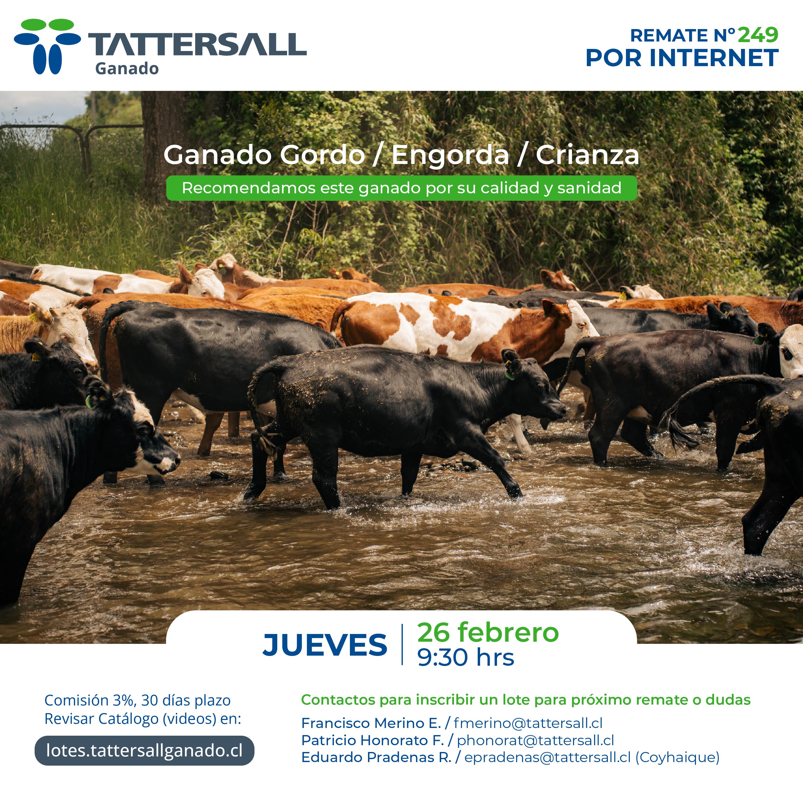 Remate 26 de Febrero Ganado Crianza y Engorda