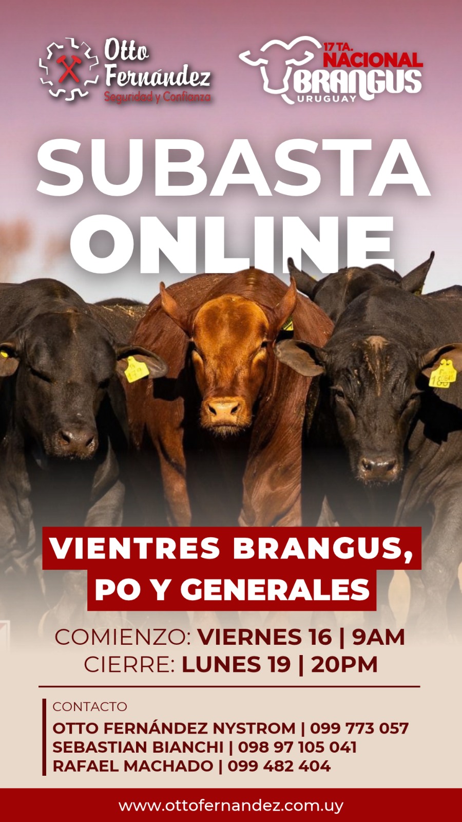 Afiche Subasta Online - Nacional Brangus