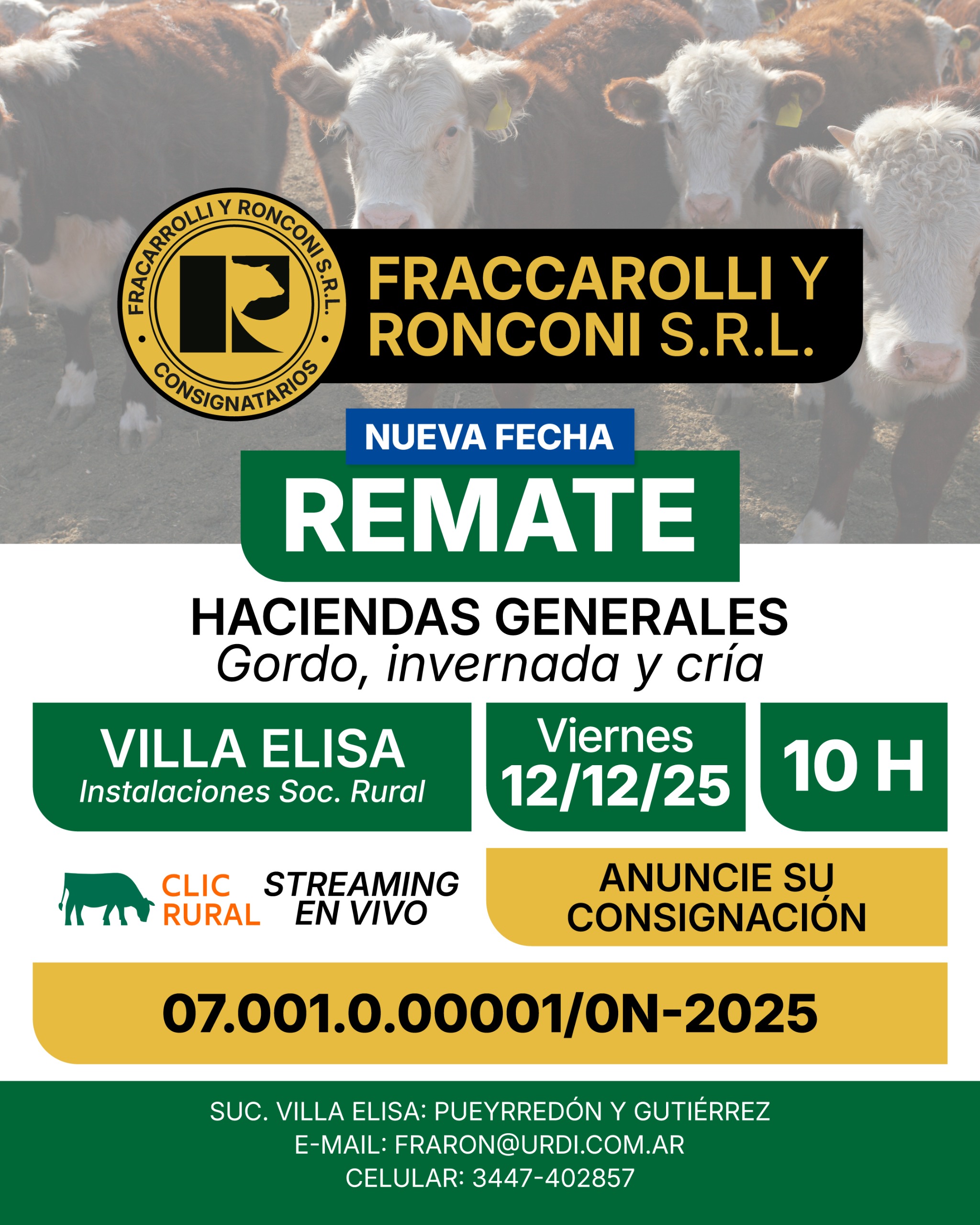 Remate 12 DE DICIEMBRE - Villa Elisa