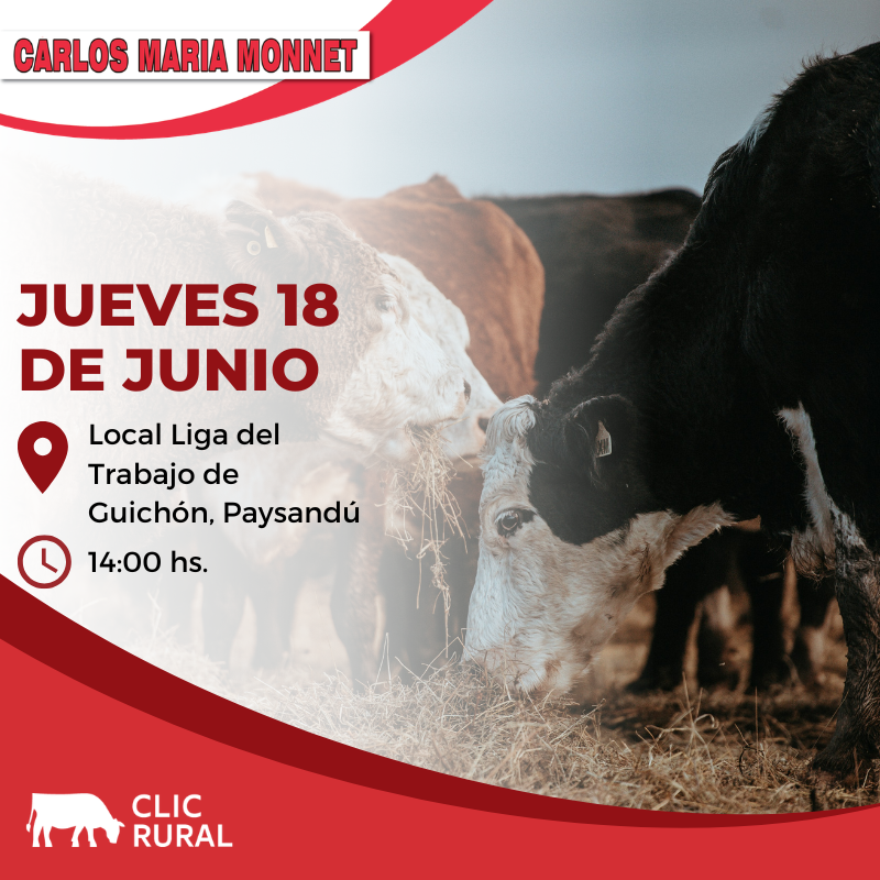 Remate Feria Mensual - Guichon
