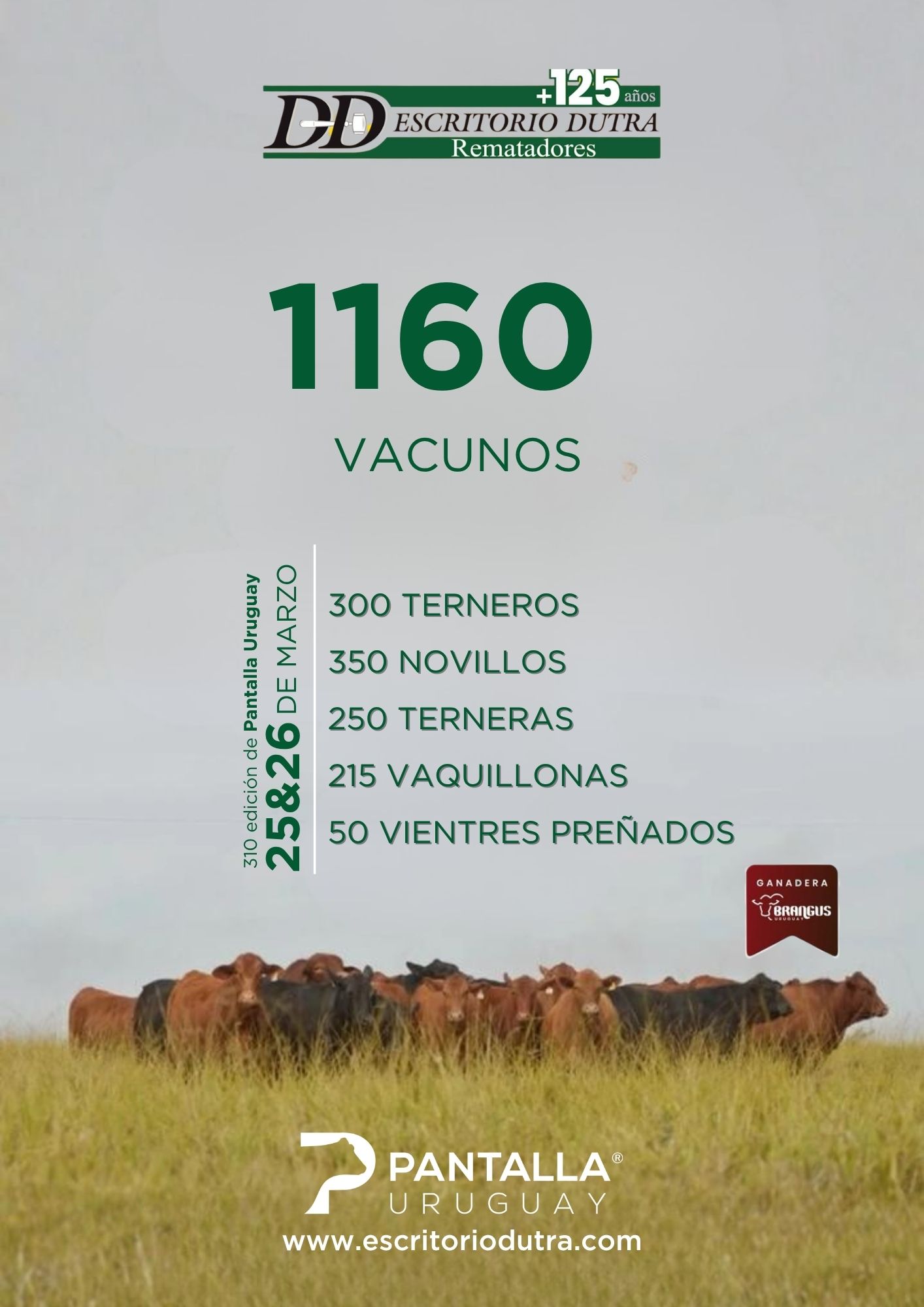 310º remate Pantalla Uruguay