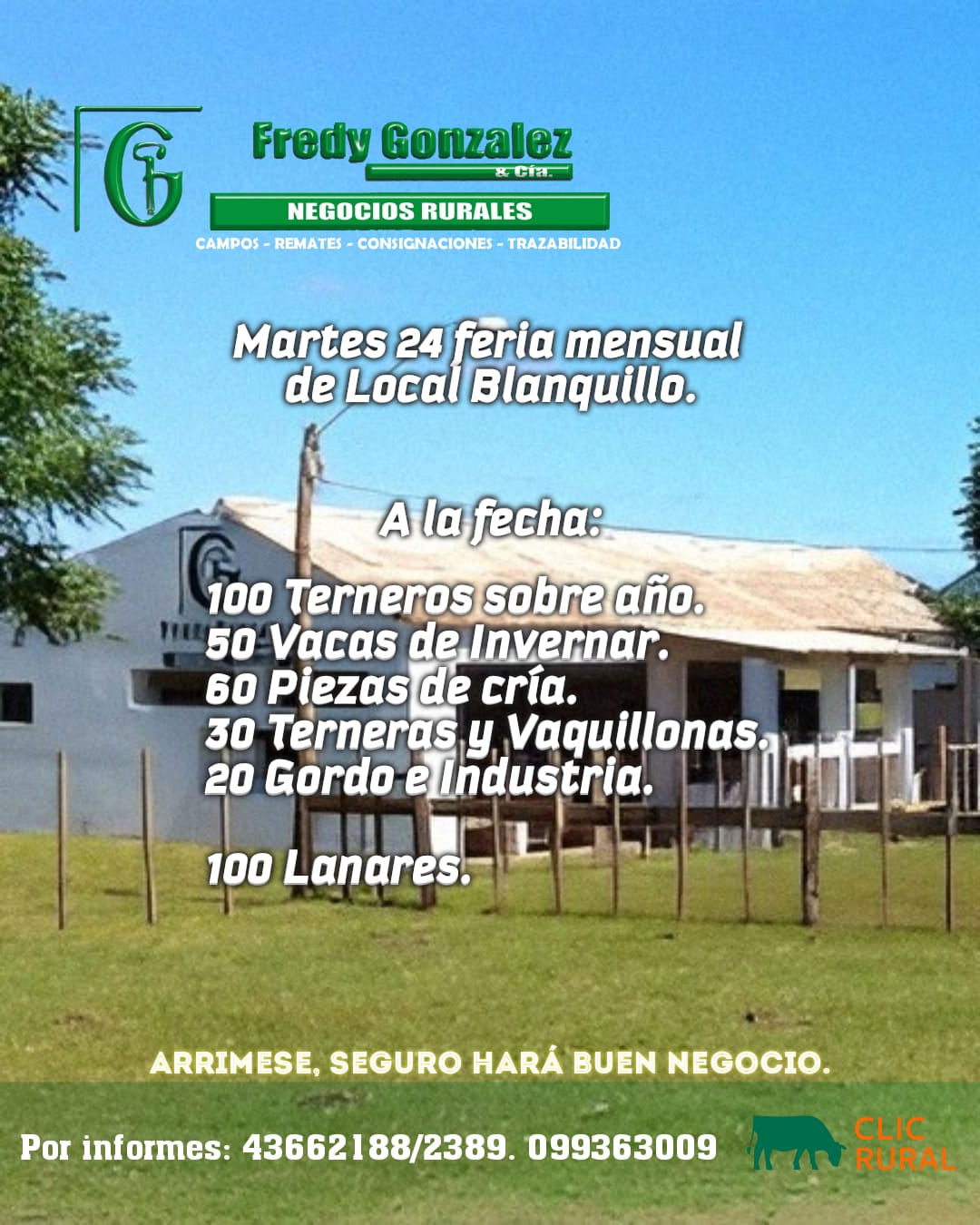 Feria mensual - Fredy Gonzalez