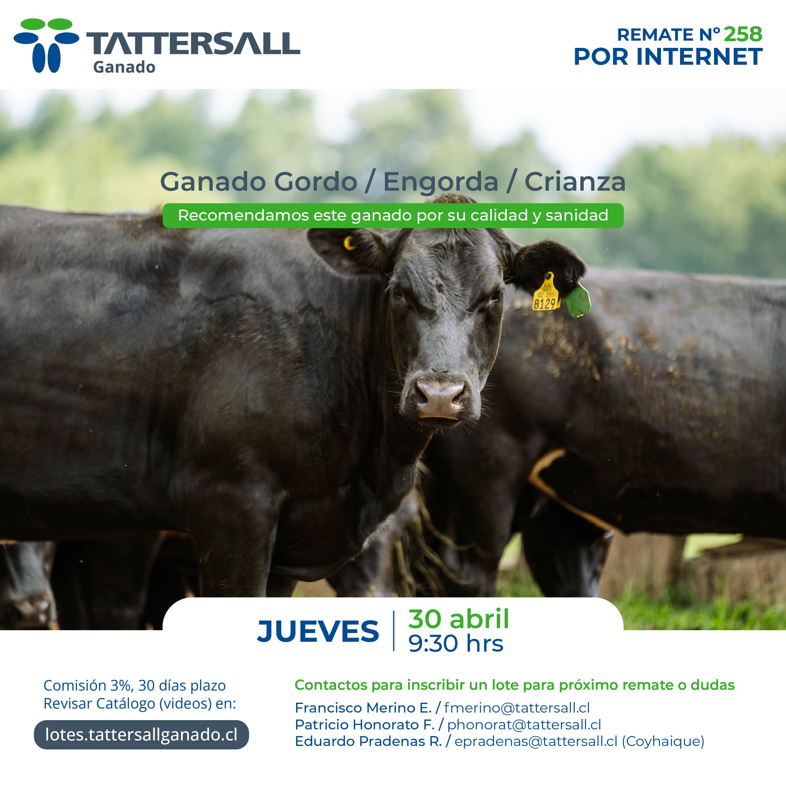 Remate 30 de Abril Ganado Crianza y Engorda