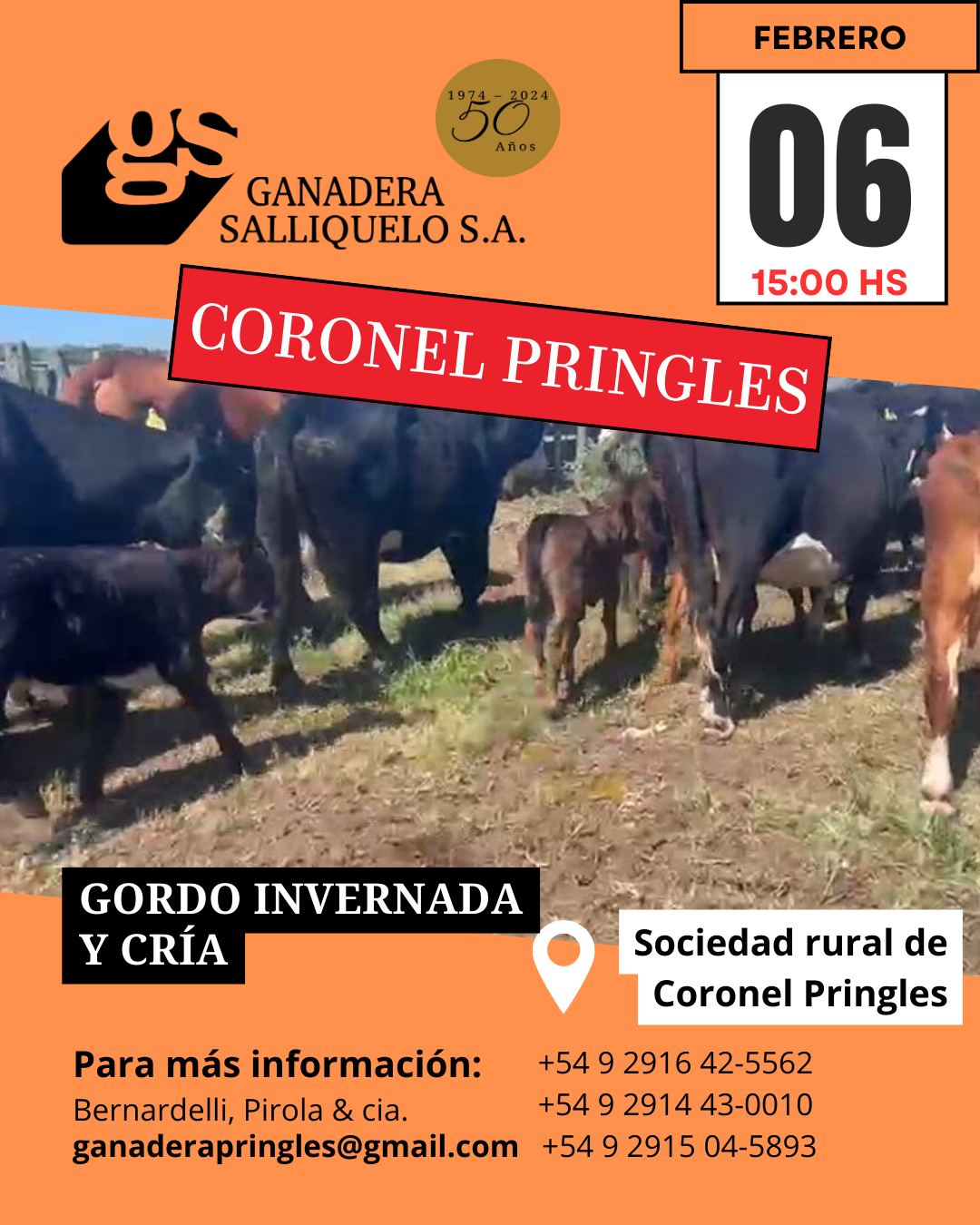 Remate Gordo, Invernada y Cría