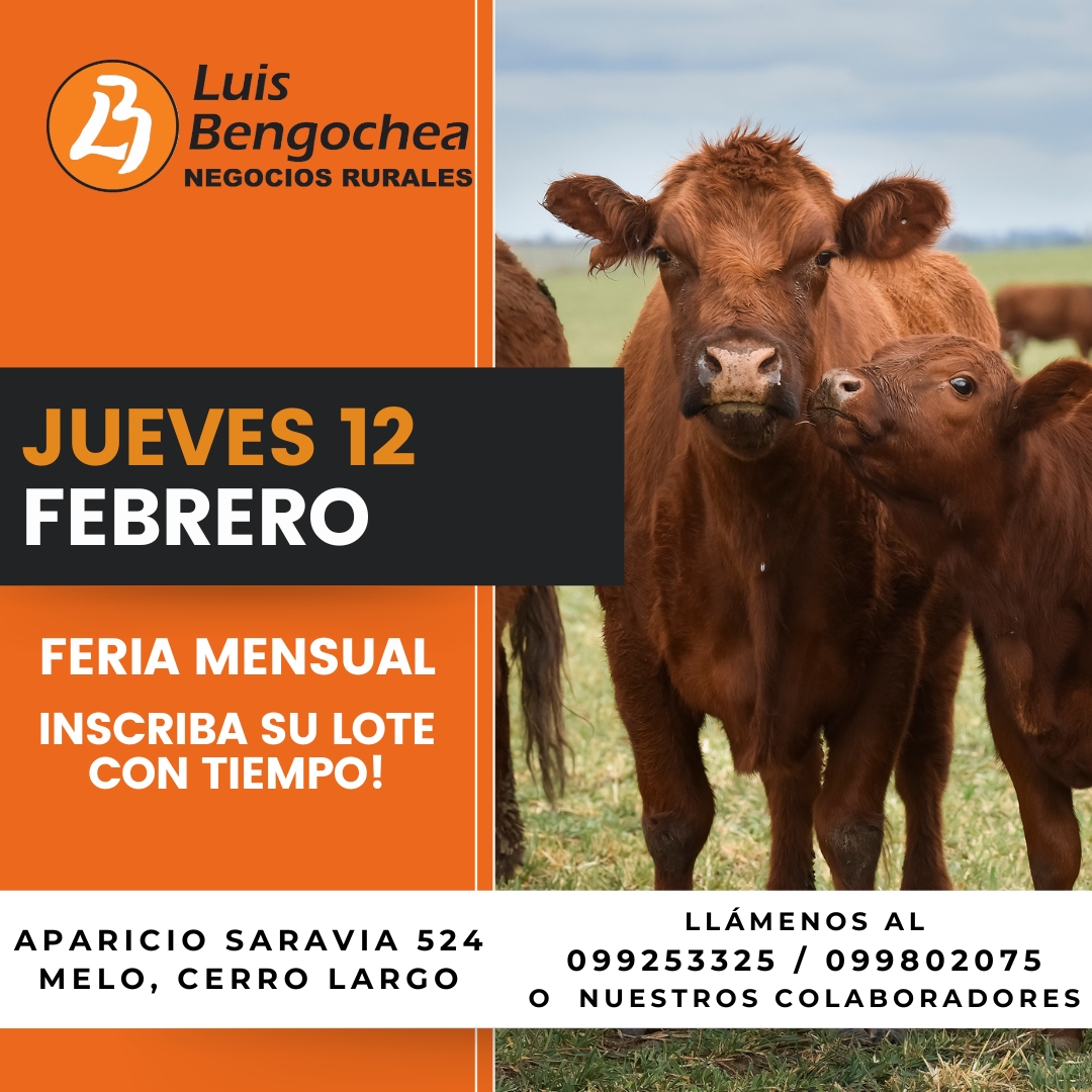 Remate Feria mensual