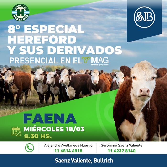 8° Especial Hereford y sus cruzas