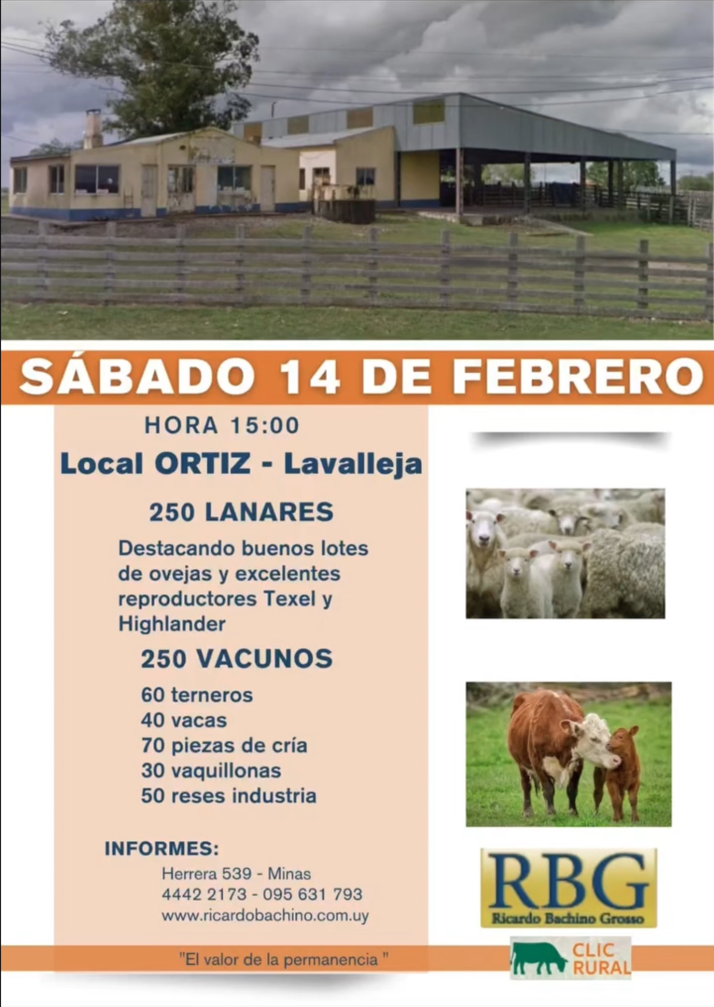 Remate Feria mensual local ortiz