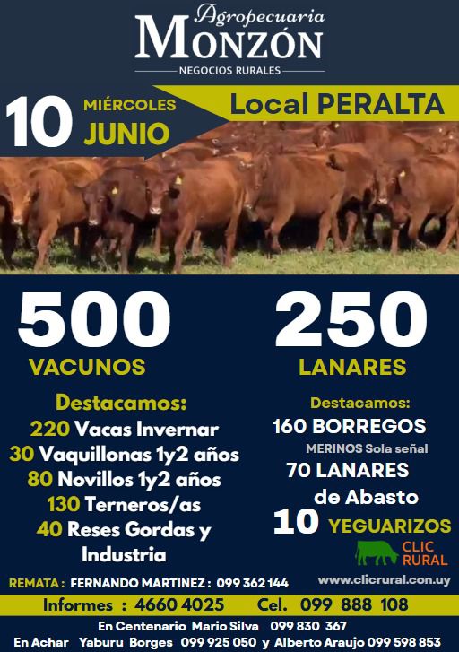 Afiche Feria Mensual - Agropecuaria Monzon