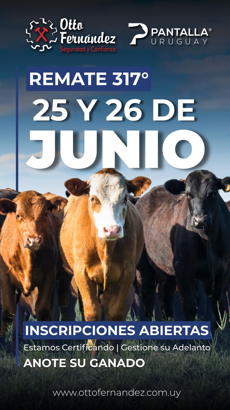 317º remate Pantalla Uruguay